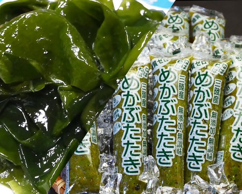 海藻